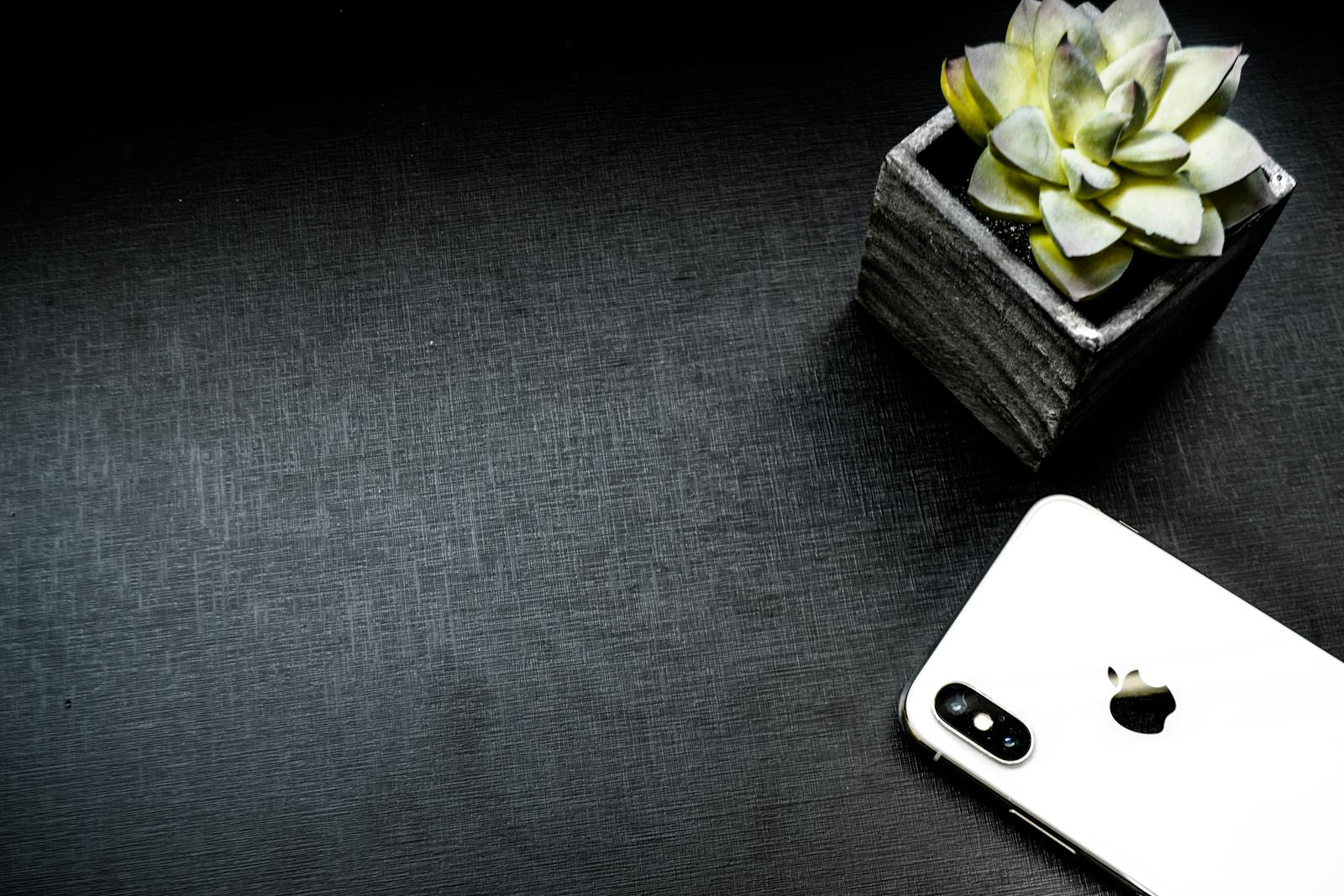 Elegant flatlay of a smartphone and succulent on a dark background with ample copyspace.